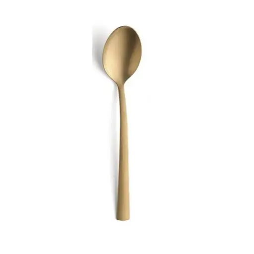 Soeplepel goud