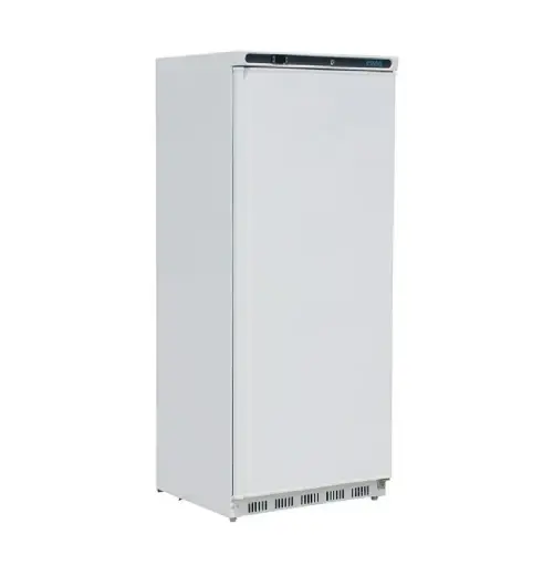 Diepvrieskast 600L